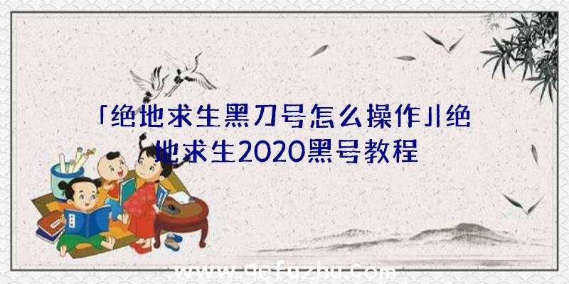 「绝地求生黑刀号怎么操作」|绝地求生2020黑号教程